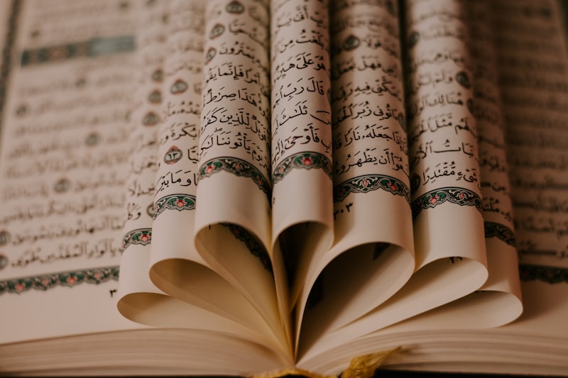 Milad-un-Nabi 2